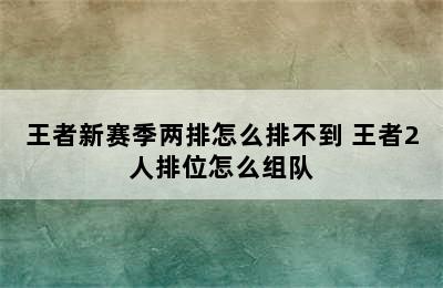 王者新赛季两排怎么排不到 王者2人排位怎么组队